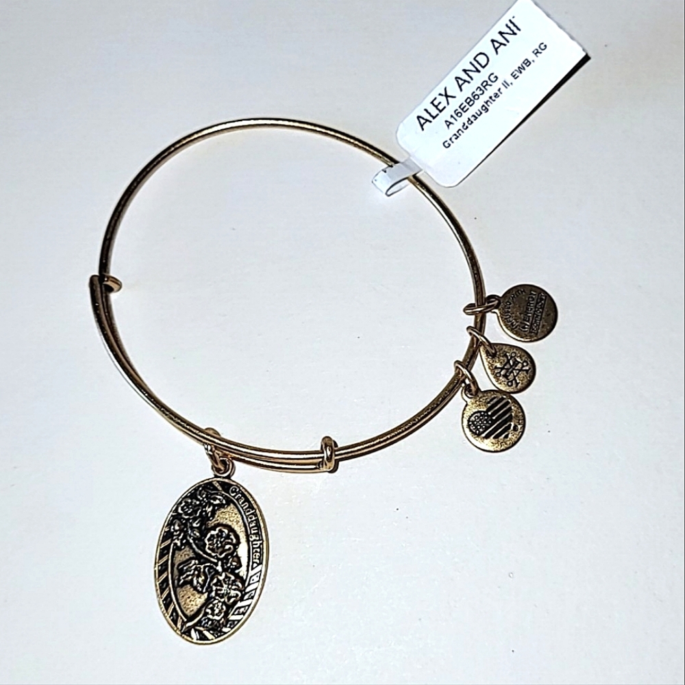 ALEX AND ANI "GRANDDAUGHTER" CHARM BANGLE BRACELET - 2016 - Picture 4 of 7